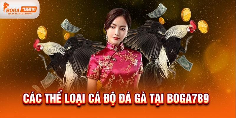 Các loại cá độ đá gà taị boga789